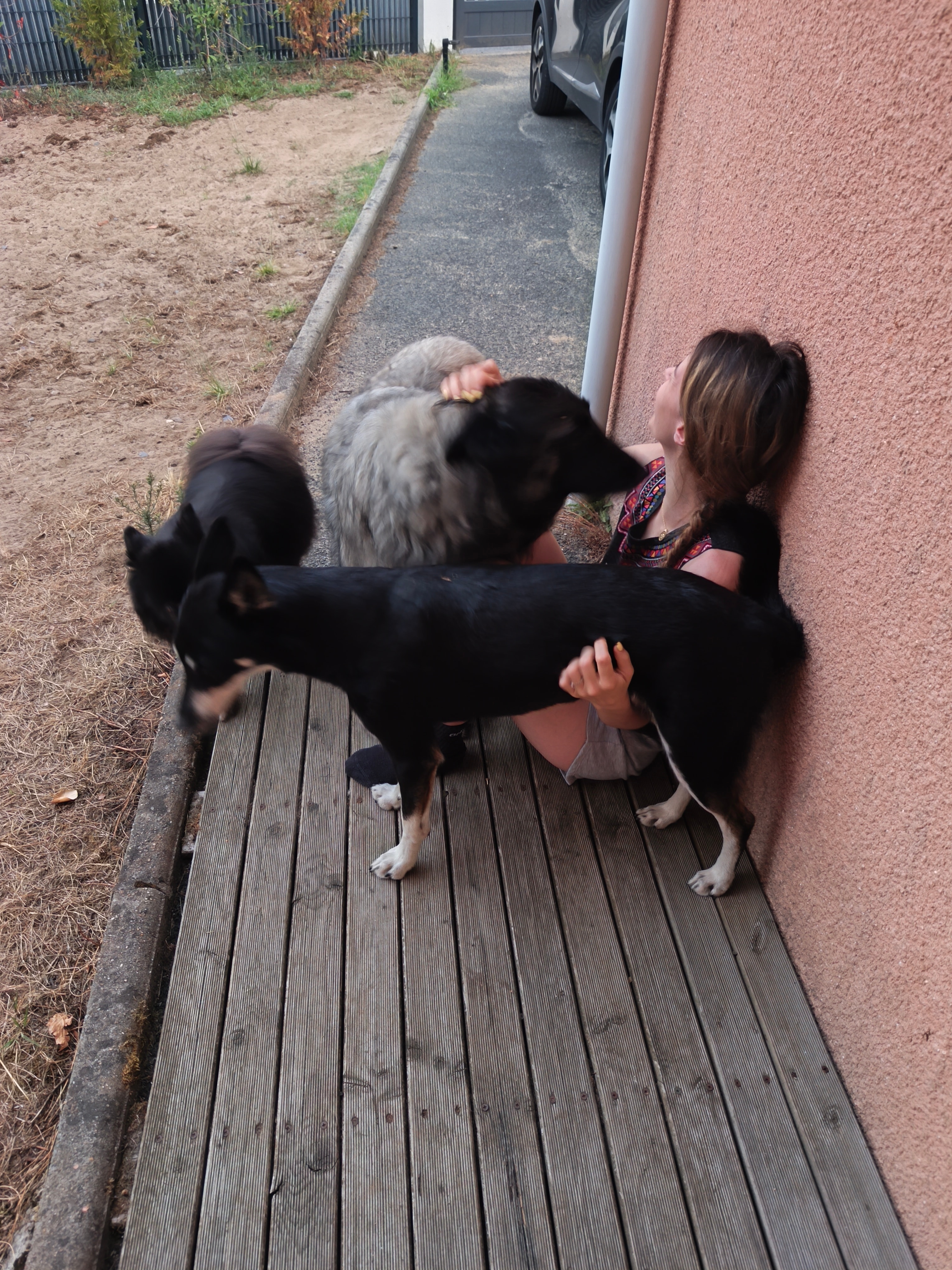 Photo 4