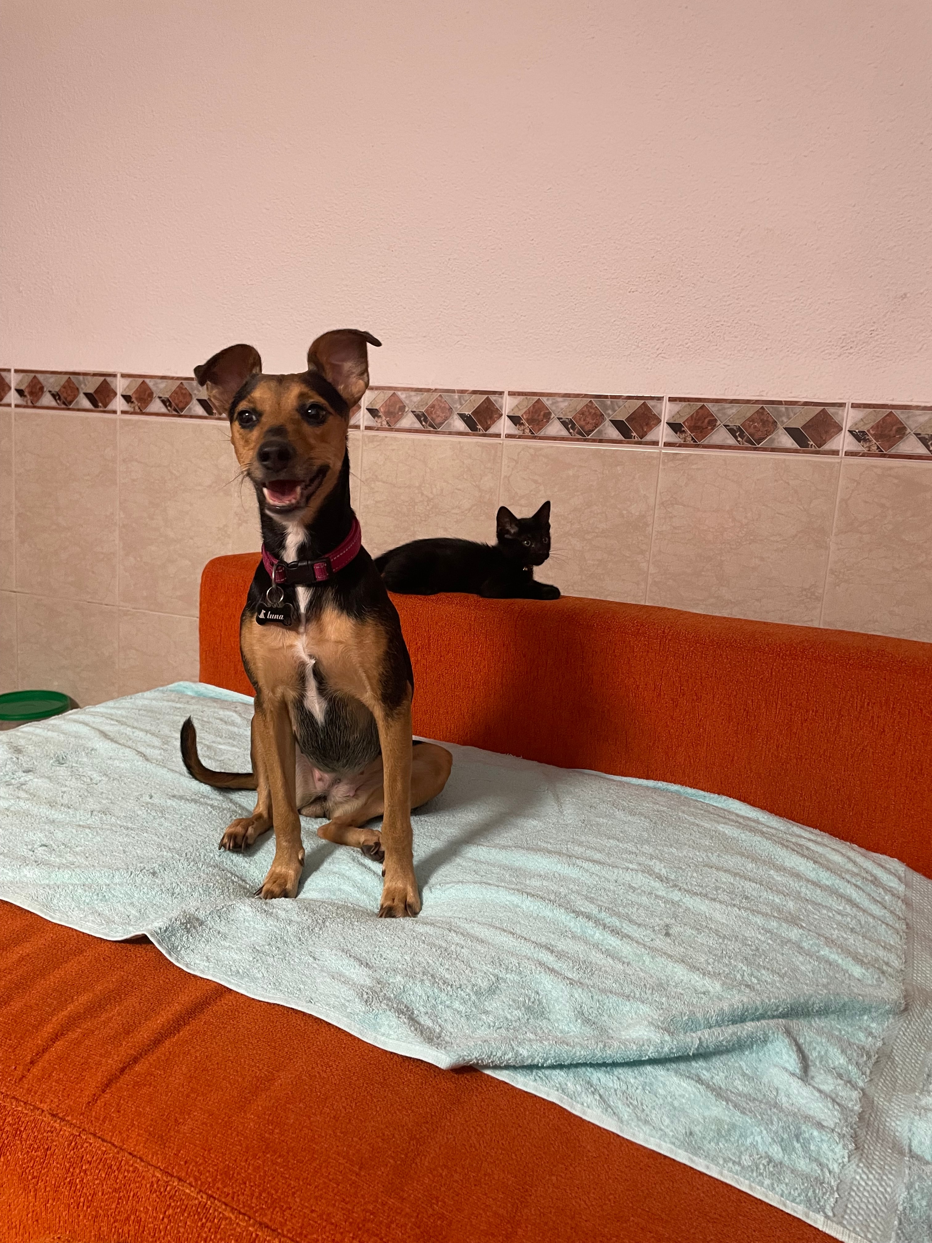 Foto 2