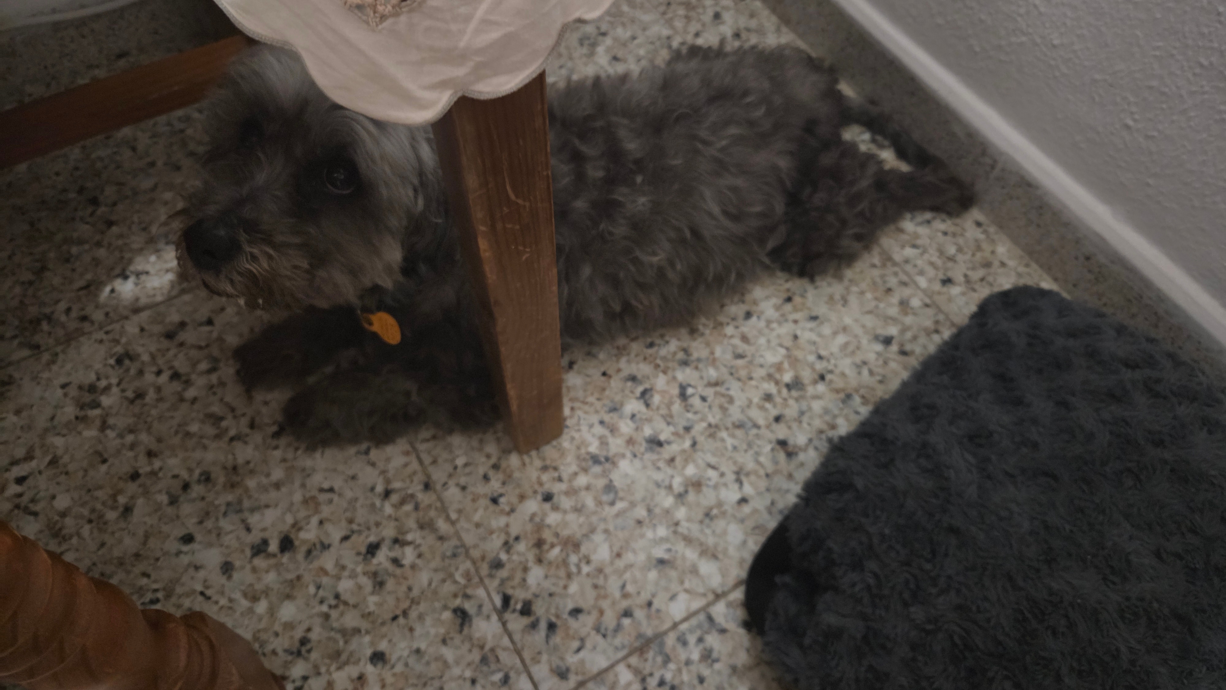 Foto 4