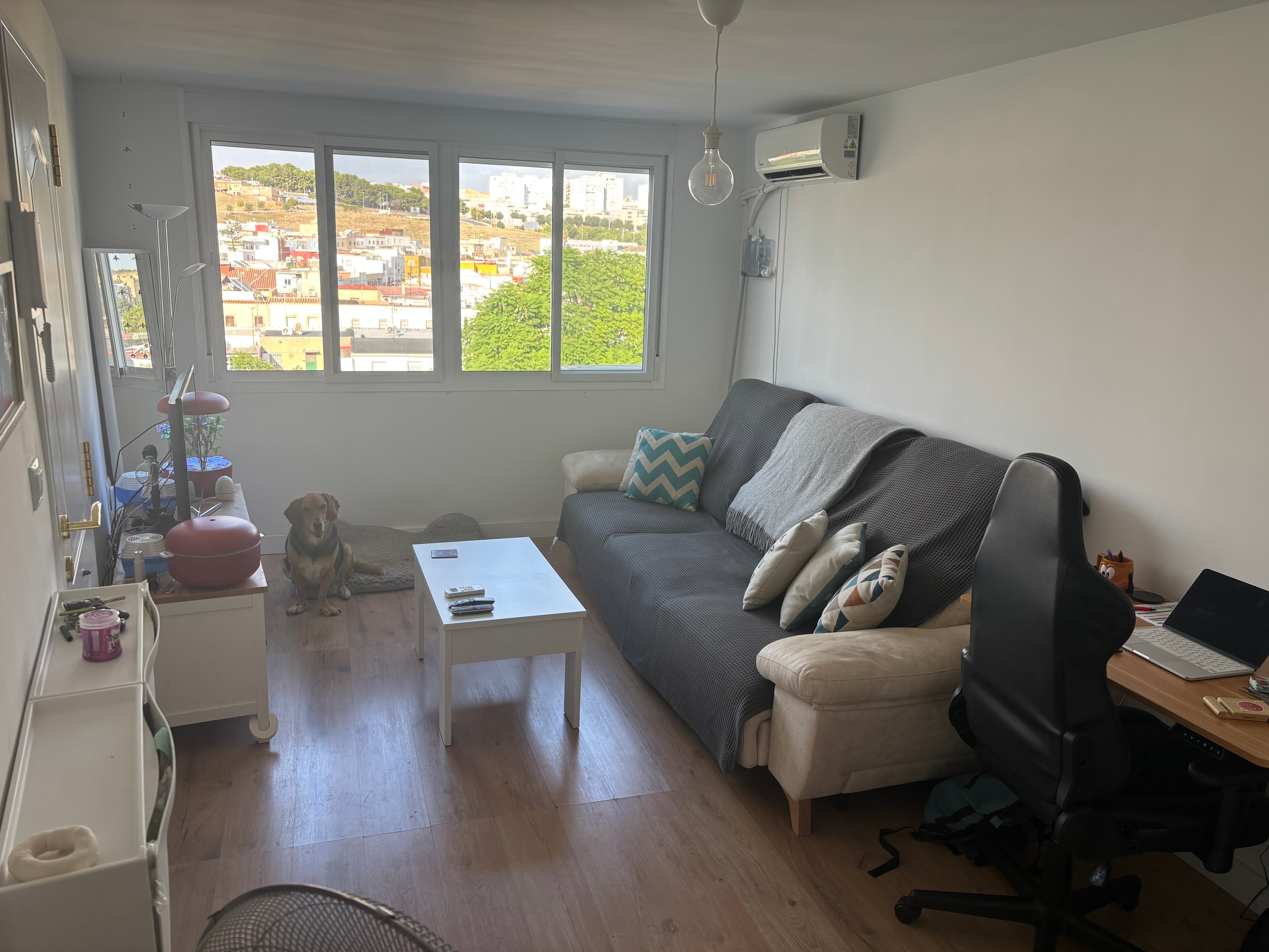 Foto 2