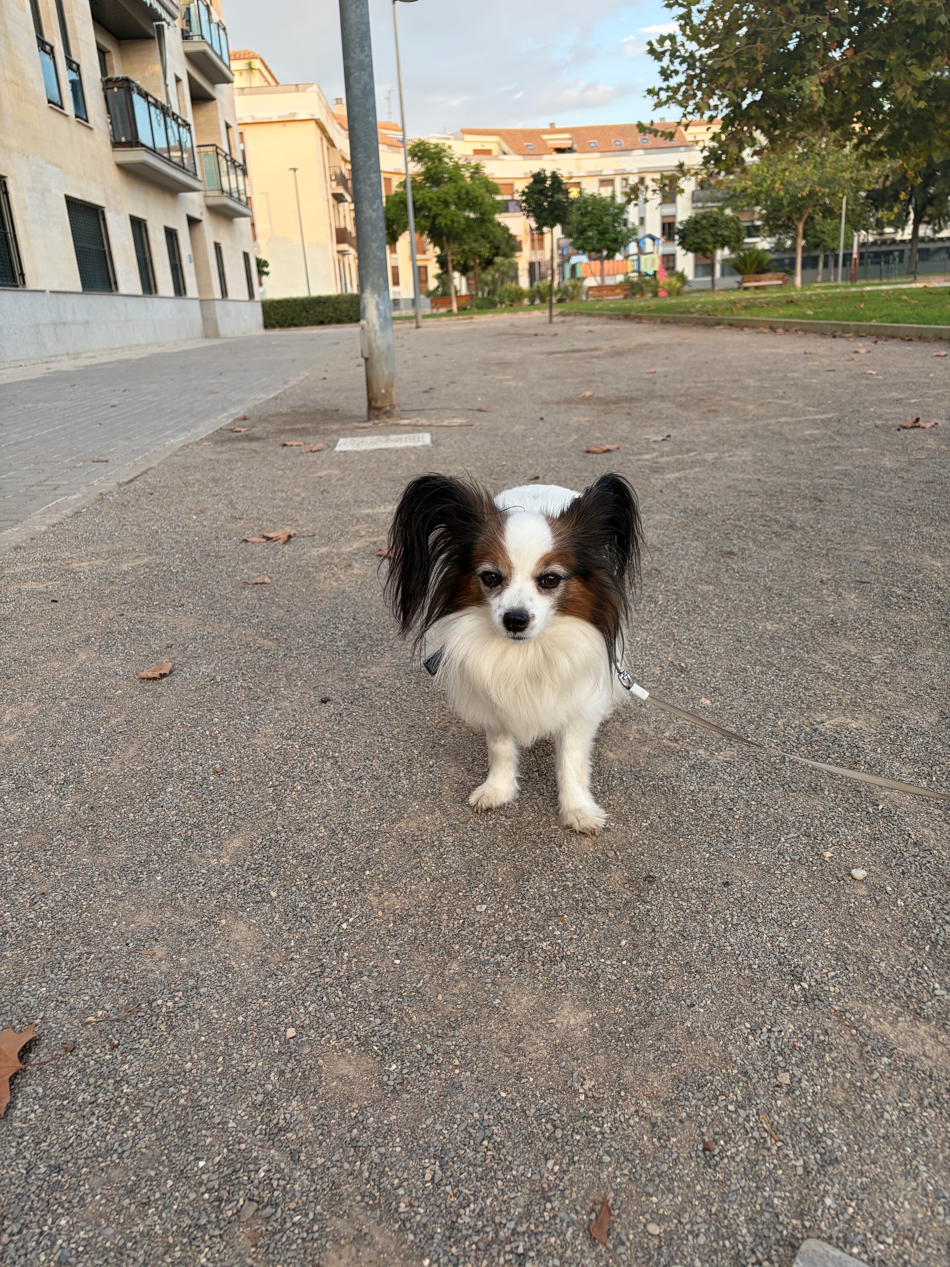 Foto 2